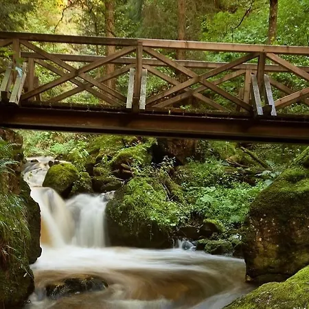 Waldloft Titisee Buitenkant foto