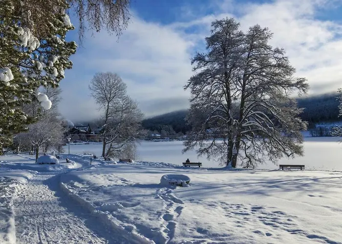 Waldloft Titisee