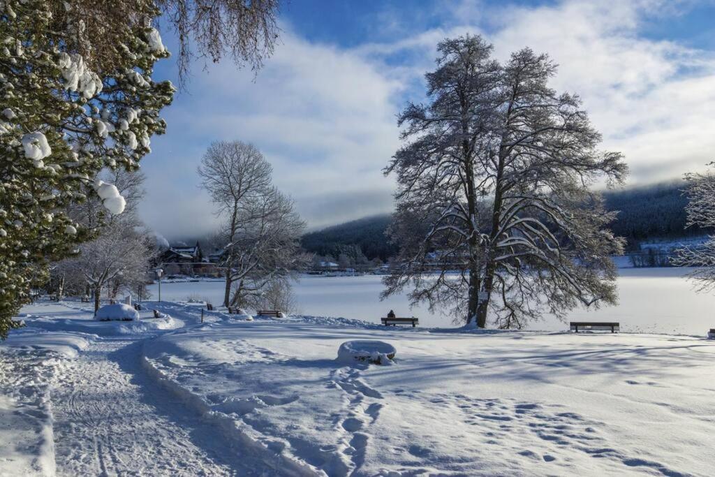 Apartment Waldloft Titisee-Neustadt