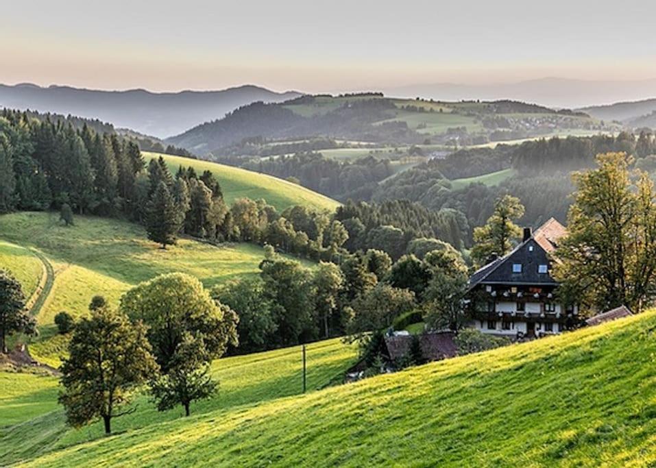 Waldloft Titisee-Neustadt